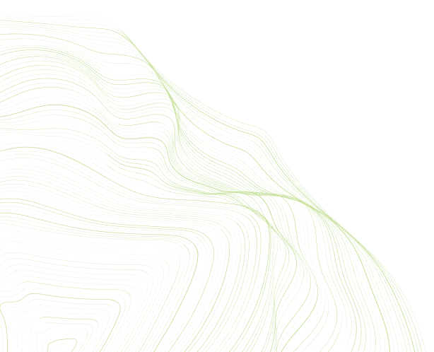 shape